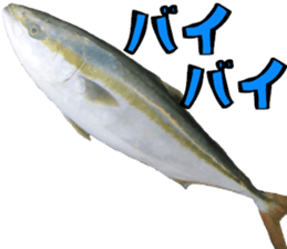 fishingsticker sticker #14059621