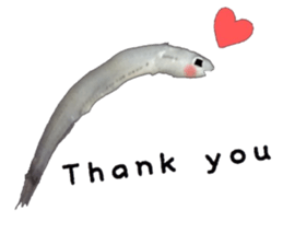 Shirasu sticker sticker #14060512