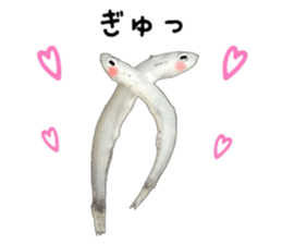 Shirasu sticker sticker #14060517