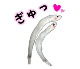 Shirasu sticker sticker #14060525