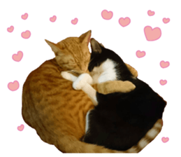 Kuri Kuma Mii MU sticker #14060945