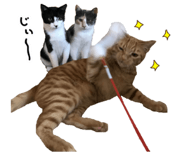 Kuri Kuma Mii MU sticker #14060947