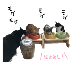 Kuri Kuma Mii MU sticker #14060949