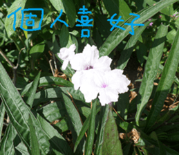 Landscape flowers of the West sticker #14061701