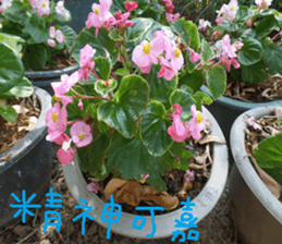 Wood flowers of the landscape sticker #14061863