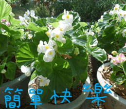 Wood flowers of the landscape sticker #14061864