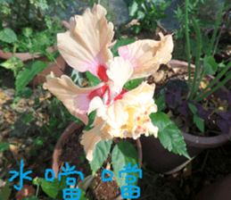 Wood flowers of the landscape sticker #14061867