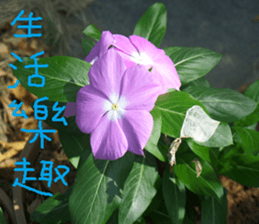 Wood flowers of the landscape sticker #14061868