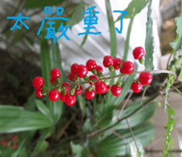 Wood flowers of the landscape sticker #14061869