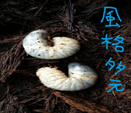 Gaga scenery photos sticker #14062070