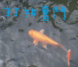 Gaga scenery photos sticker #14062073