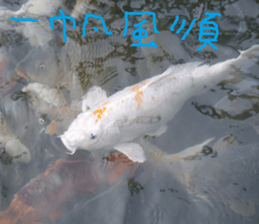 Gaga scenery photos sticker #14062074