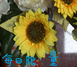 Gaga scenery photos sticker #14062075