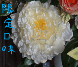 Gaga scenery photos sticker #14062076