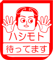 HASHIMOTO is my name : vol.women sticker #14062973