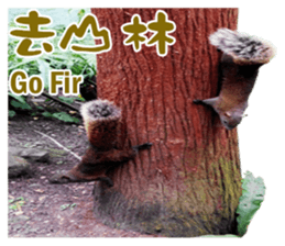 Where are you going? sticker #14063080