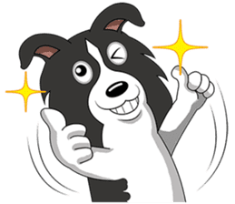 Border Collie - black and white brother sticker #14063103