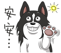 Border Collie - black and white brother sticker #14063106