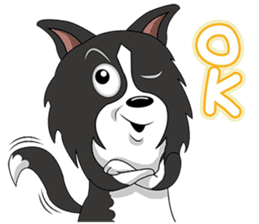 Border Collie - black and white brother sticker #14063107