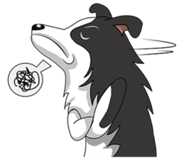 Border Collie - black and white brother sticker #14063108