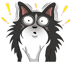 Border Collie - black and white brother sticker #14063109