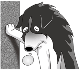 Border Collie - black and white brother sticker #14063111