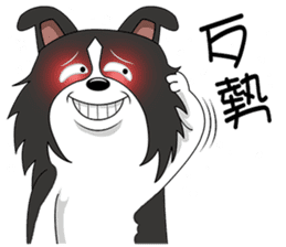 Border Collie - black and white brother sticker #14063112