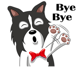 Border Collie - black and white brother sticker #14063113