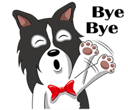 Border Collie - black and white brother sticker #14063113