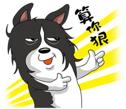 Border Collie - black and white brother sticker #14063114