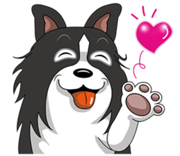 Border Collie - black and white brother sticker #14063116