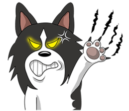 Border Collie - black and white brother sticker #14063117