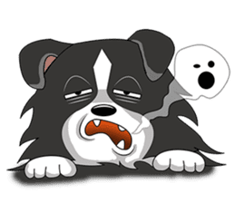 Border Collie - black and white brother sticker #14063118