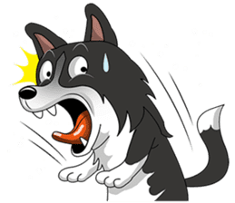 Border Collie - black and white brother sticker #14063119