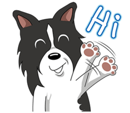 Border Collie - black and white brother sticker #14063124