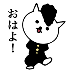 Daily conversation bad cat