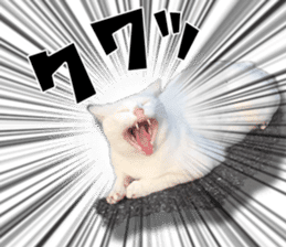 Nora Cats in a park sticker #14065174