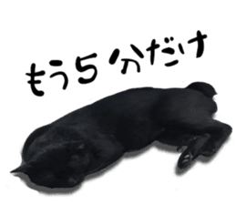 Nora Cats in a park sticker #14065178