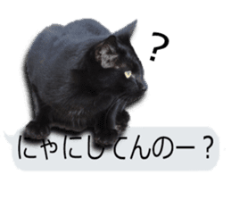 Nora Cats in a park sticker #14065186