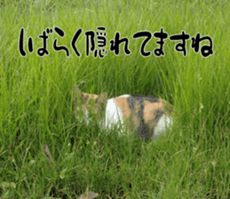 Nora Cats in a park sticker #14065189