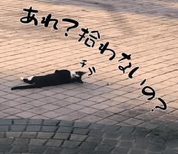 Nora Cats in a park sticker #14065193