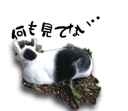 Nora Cats in a park sticker #14065194