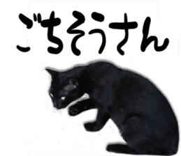 Nora Cats in a park sticker #14065196