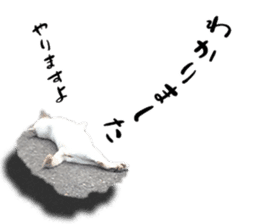 Nora Cats in a park sticker #14065206