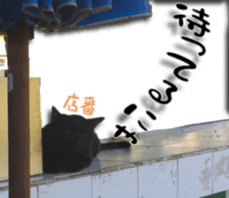 Nora Cats in a park sticker #14065209