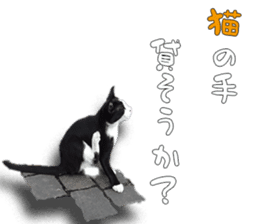 Nora Cats in a park sticker #14065212