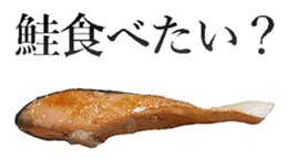 Salmon! sticker #14066006