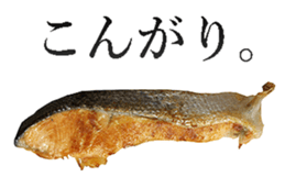 Salmon! sticker #14066017
