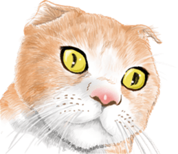 TETUGIROU Cat sticker #14066661