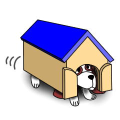 JIN-JIN St.Ber Life 5